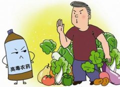 如何正確選擇適合的蔬菜？