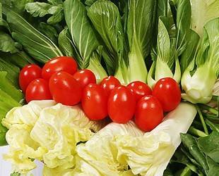 食品安全檢測(cè)儀