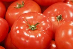 無毒化農(nóng)藥有可能成為未來趨勢嗎？