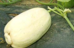 農(nóng)貿(mào)市場(chǎng)配備農(nóng)藥殘留檢測(cè)儀有必要嗎？