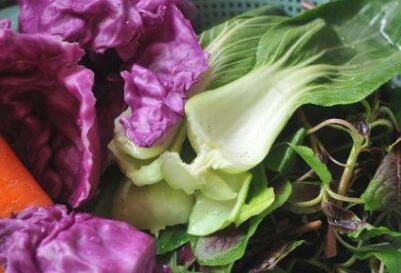 農(nóng)藥殘留速測(cè)儀 農(nóng)藥殘留速測(cè)儀